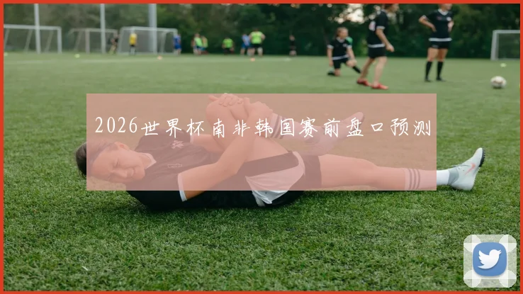 2026世界杯南非韩国赛前盘口预测