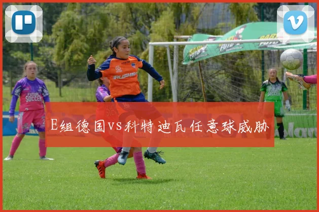 E组德国vs科特迪瓦任意球威胁