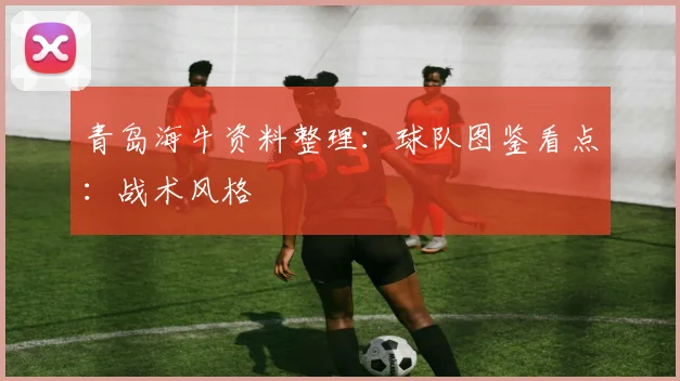 青岛海牛资料整理：球队图鉴看点：战术风格