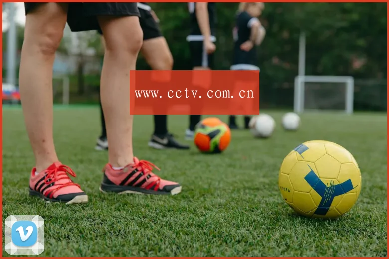 www.cctv.com.cn