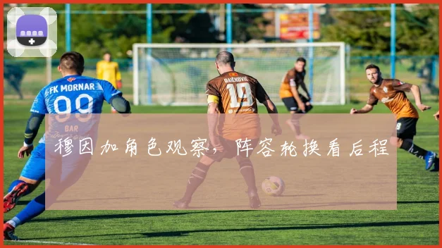 穆因加角色观察，阵容轮换看后程